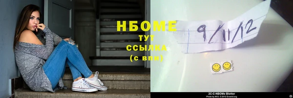 СК Алексин