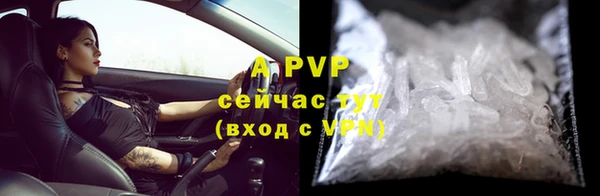 СК Алексин