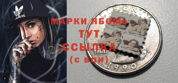 СК Алексин