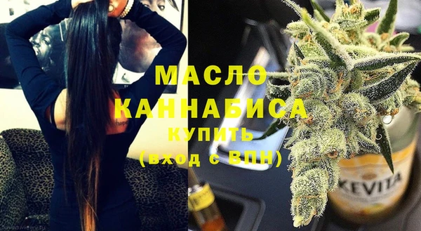 СК Алексин