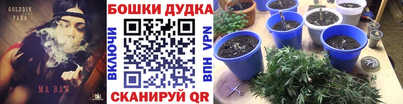 закладка  Ревда  Бошки Шишки ГИДРОПОН 